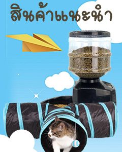 สินค้าแมวแนะนำ