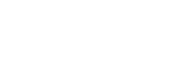 Strona internetowa ZHP